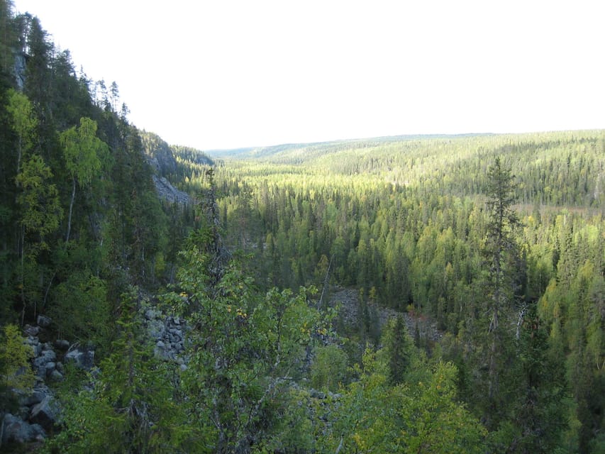 Summer Tour From Rovaniemi: Korouoma Waterfall and Ranua Zoo - Meeting Point and Directions