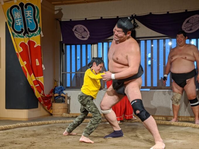Sumo Show & Chanko Lunch - What to Expect