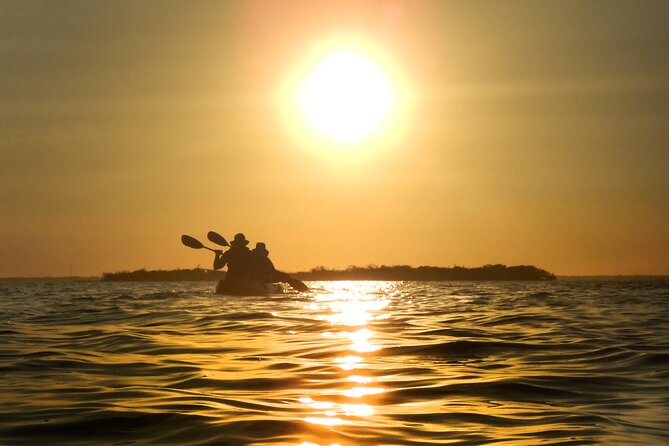 Sunset Bioluminescence Tour - Important Booking Information