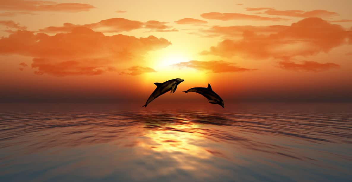 SUNSET TOUR WITH DOLPHIN WATCHING - Booking and Reservation