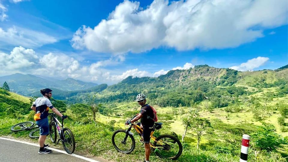 Tea Fields by Bicycle From Kandy - Suitability