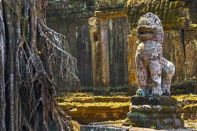 Temple Trails of Angkor - Safety Considerations