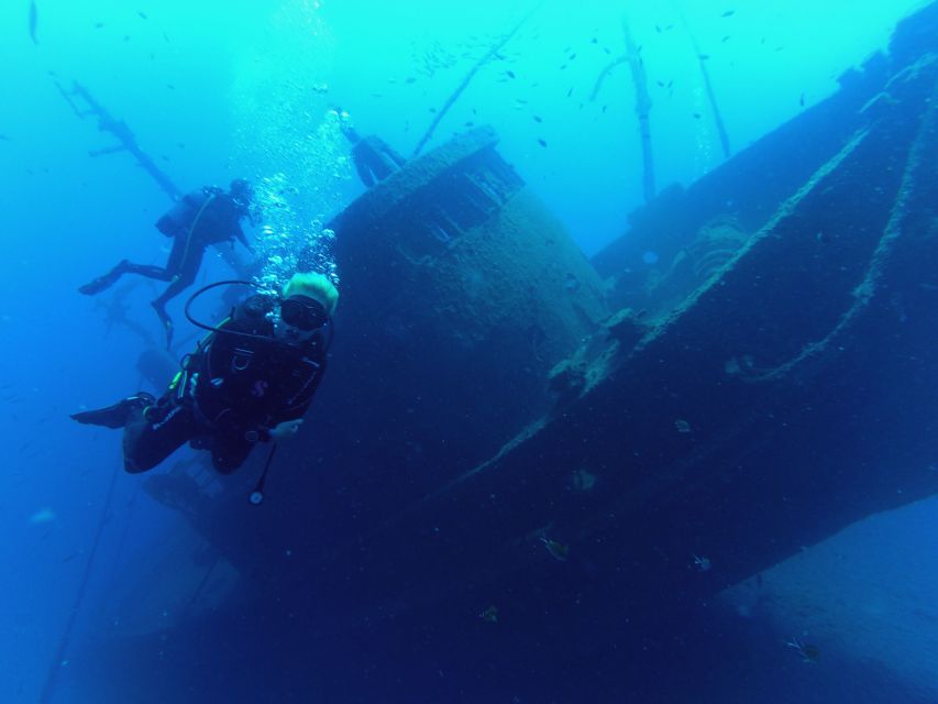 Tenerife: 2 Diving Sessions for Certified Divers - Language Support