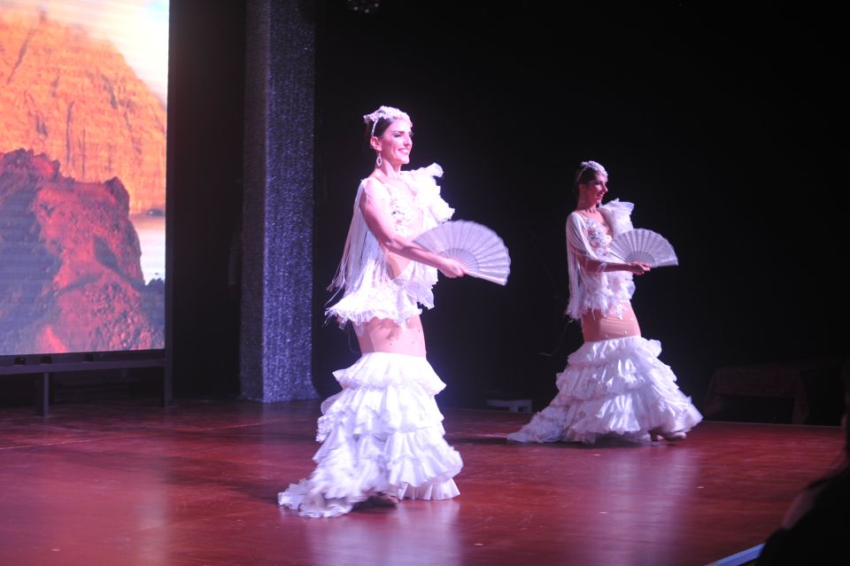 Tenerife: Flamenco Performance at Teatro Coliseo - Beverage Options