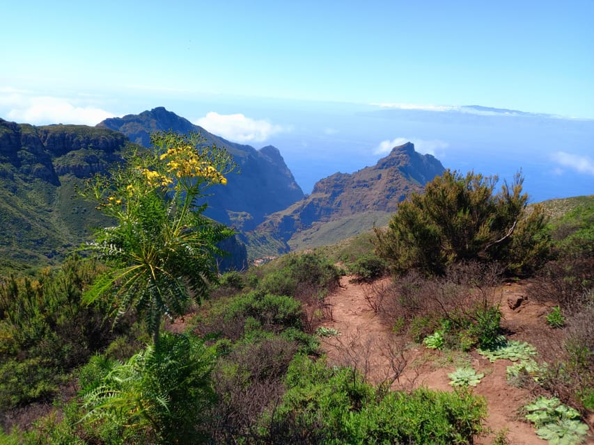 Tenerife: Hiking Above the Village of Masca - Unsuitable for