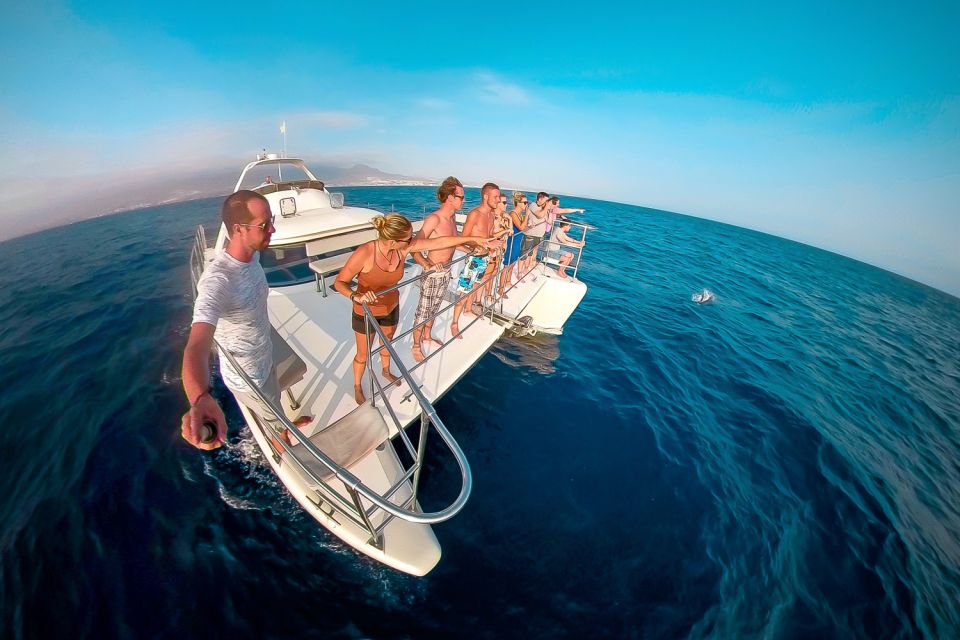 Tenerife: Marine-Life Tour With Transfer, Buffet and Drinks - Relax With Refreshing Drinks