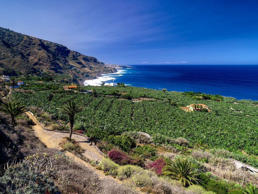 Tenerife Private Tour: Full-Day Historic North - Explore Icod De Los Vinos