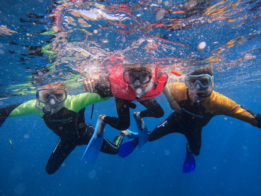 Tenerife: Puerto Colon Snorkel Safari by Speed Boat - Frequently Asked Questions