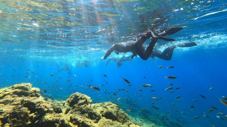 Tenerife: Snorkeling Tour in a Marine Protected Area - Restrictions and Limitations