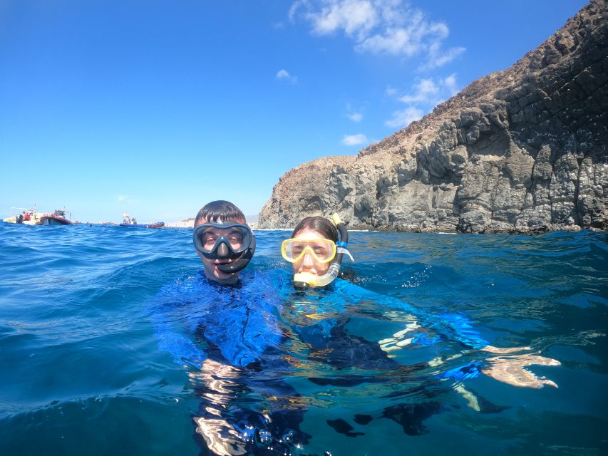 Tenerife: Snorkeling Trip in a Turtle Habitat - Snorkeling Experience