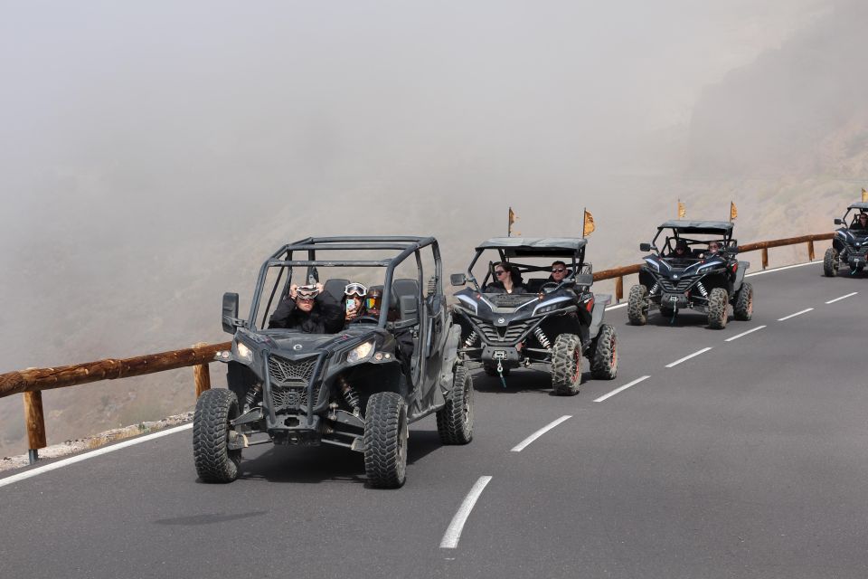 Tenerife: Teide National Park Guided Morning Buggy Tour - Multilingual Tour Guides and Requirements