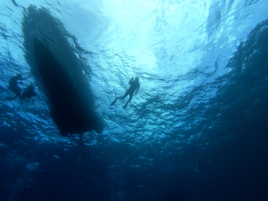 Tenerife: Underwater Lava Tongues Snorkel Excursion - Whats Included in the Package