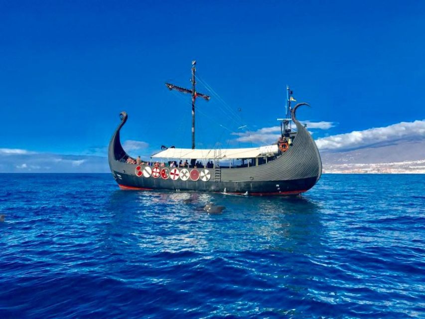 Tenerife: Viking Cruise With Drinks, Whales & Dolphins - Viking Show and Games