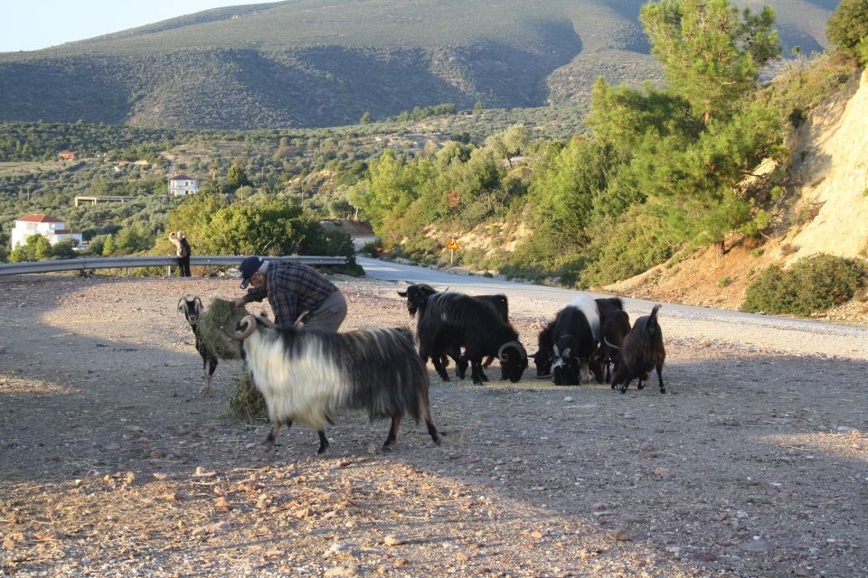 Thasos Island: Private Jeep Tour - Panoramic View From Ipsarion Mountain