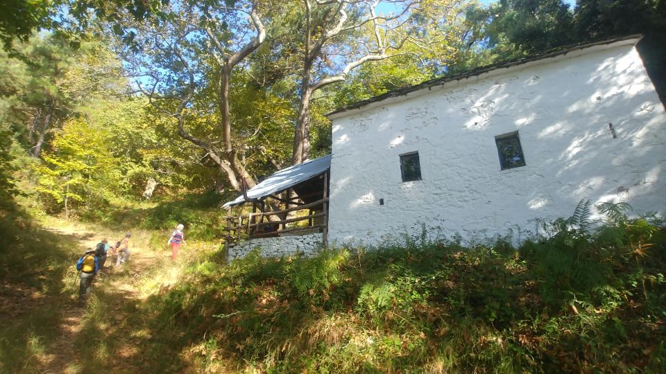 Thassos Island : Herbal Hike With Panorama Views - Preparation and Essentials