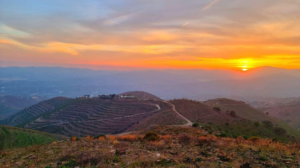 The Axarquia White Villages & Buddhist Stupa - SemiPrivate - Walk Through Comares