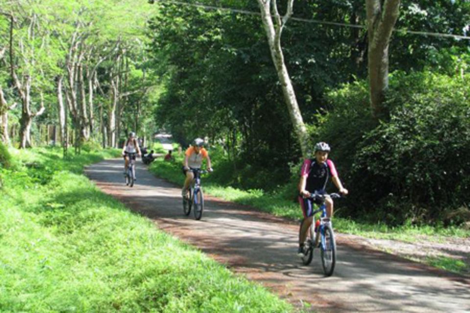 The Best Easy Trek Cuc Phuong National Park - Tips for a Great Experience