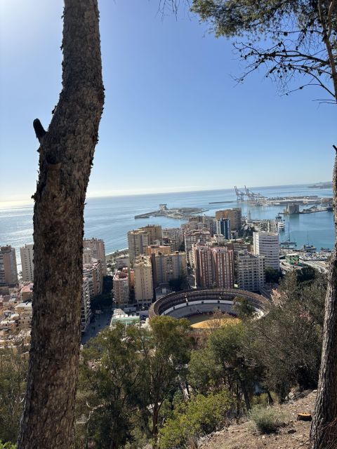 The Best of Malaga in 2 Hours by Electric Car - Customer Reviews