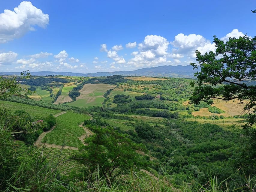 The Dying City Civita Bagnoregio W/Wine Tasting From Port - Booking Information