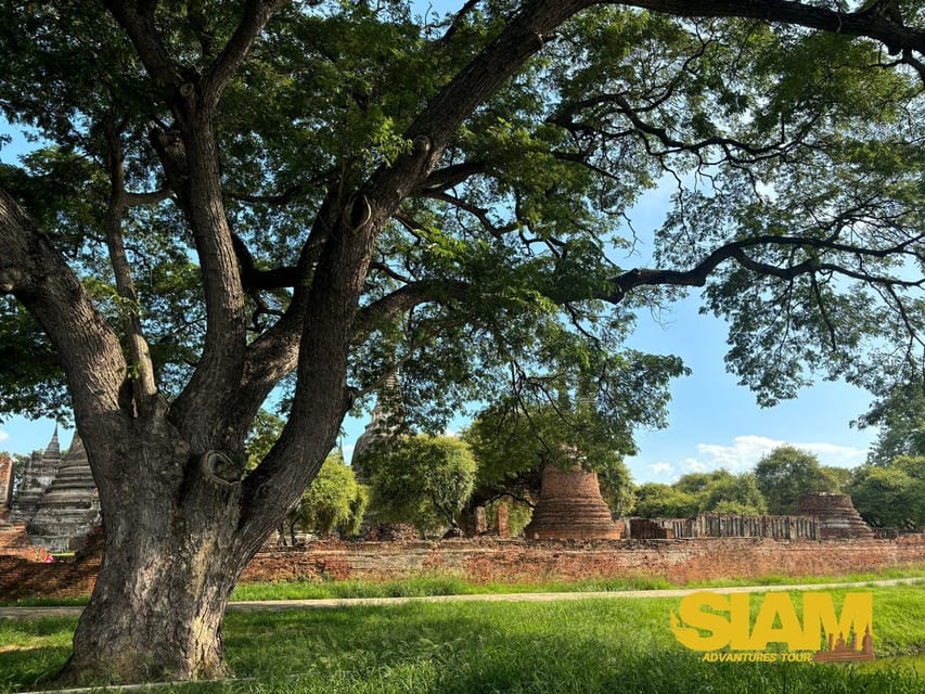 The Incredible Ayutthaya Ancient Temple Tour : From Bangkok - Cultural Significance