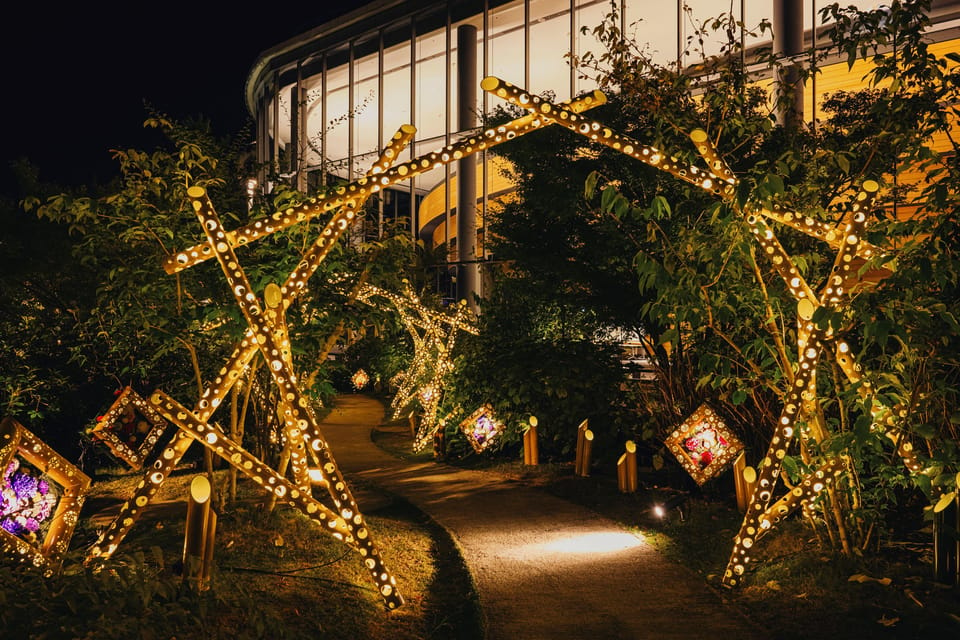 The Princess Kaguyas Glowing Garden in Sakuramachi Kumamoto - Location and Directions