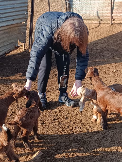 Thessaloniki: Visit a Farm and a Traditional Village - Preparing for the Visit