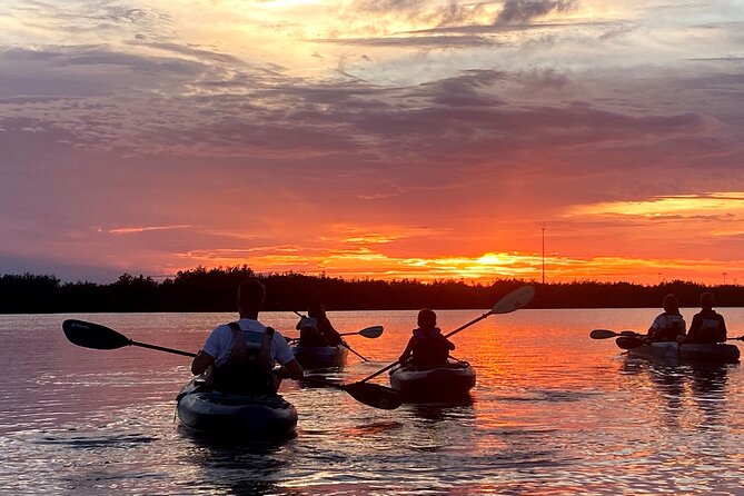 Thousand Islands Mangrove Tunnel & Bio Comb Jelly Sunset Tour - Cancellation Policy