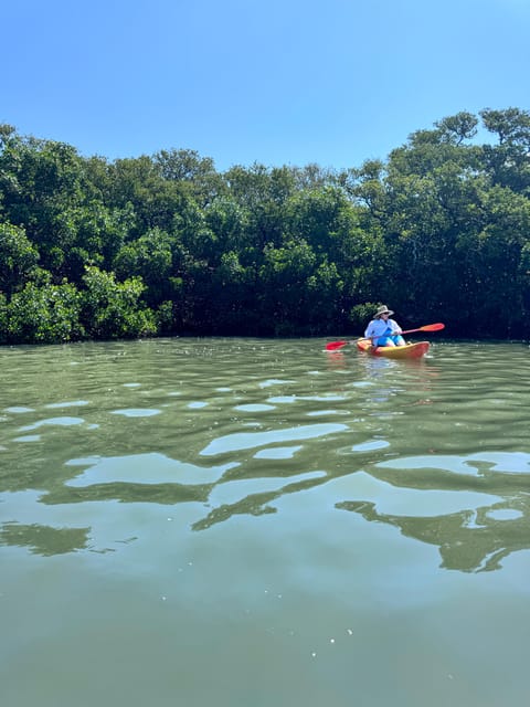 Tierra Verde: Shell Key Mangrove Private Guided 1.5 Hr Tour - Frequently Asked Questions