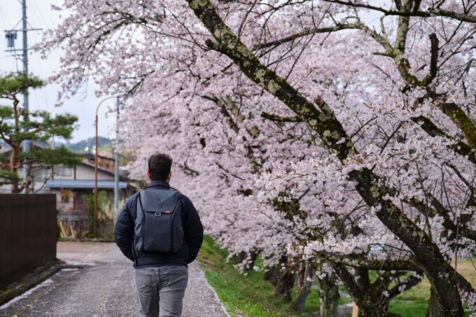 Timeless Takayama: A Walk Through History and Beauty - How to Book Your Tour