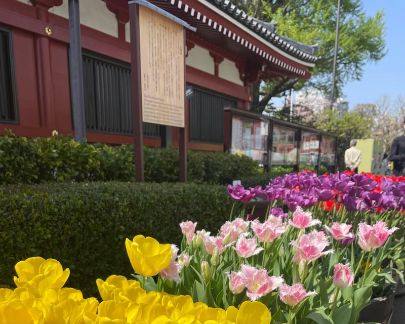 Tokyo : Asakusa Sensoji Temple Walking Tour Experience - Tips for an Enjoyable Tour