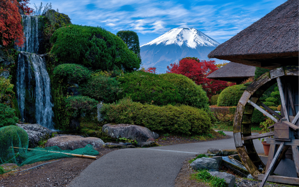 Tokyo Day Trip -Mount Fuji Private Tour From Tokyo - Customer Feedback and Ratings