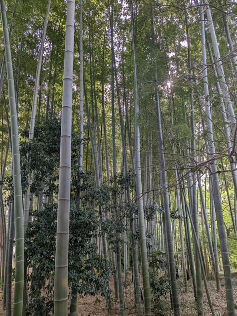 Tokyo: Hidden Temples Tour - Booking and Cancellation Policies