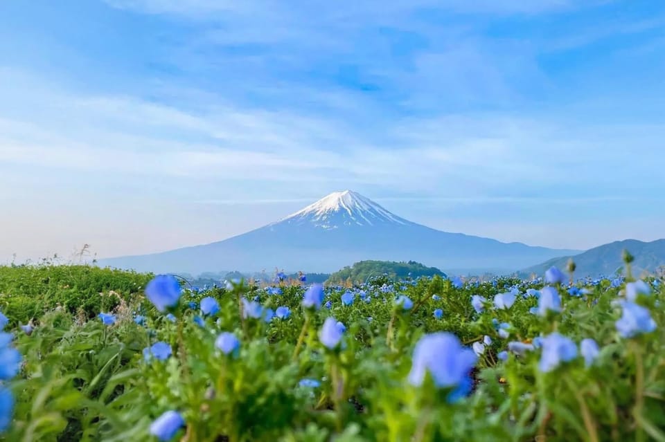 Tokyo: Instagram-Worthy Mt Fuji & Lake Kawaguchiko Day Trip - Local Delicacies to Try