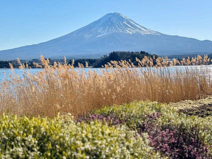 Tokyo: Mount Fuji or Hakone Customized Private Full-Day Trip - Transportation Information