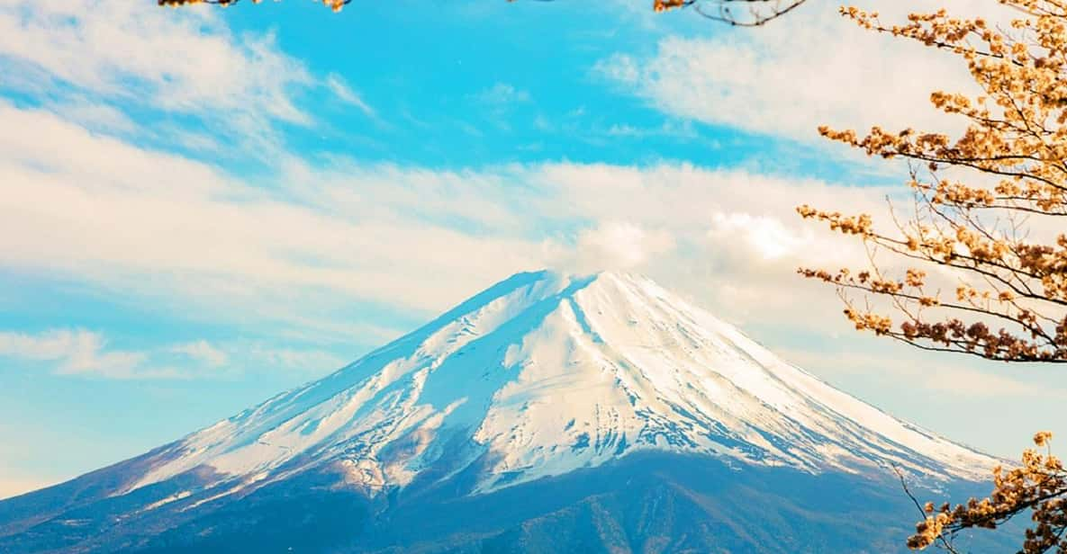 Tokyo: Mt. Fuji 5th Station, Oshino Hakkai, Onsen 1-Day Trip - Onsen Experience Options