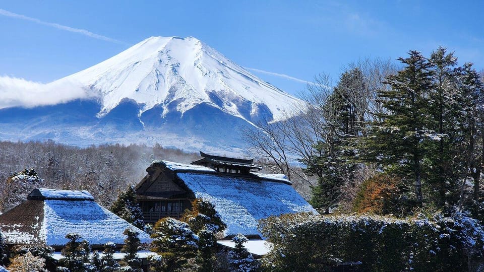 Tokyo: Mt. Fuji and Hakone 1-Day Private Tour - Additional Notes