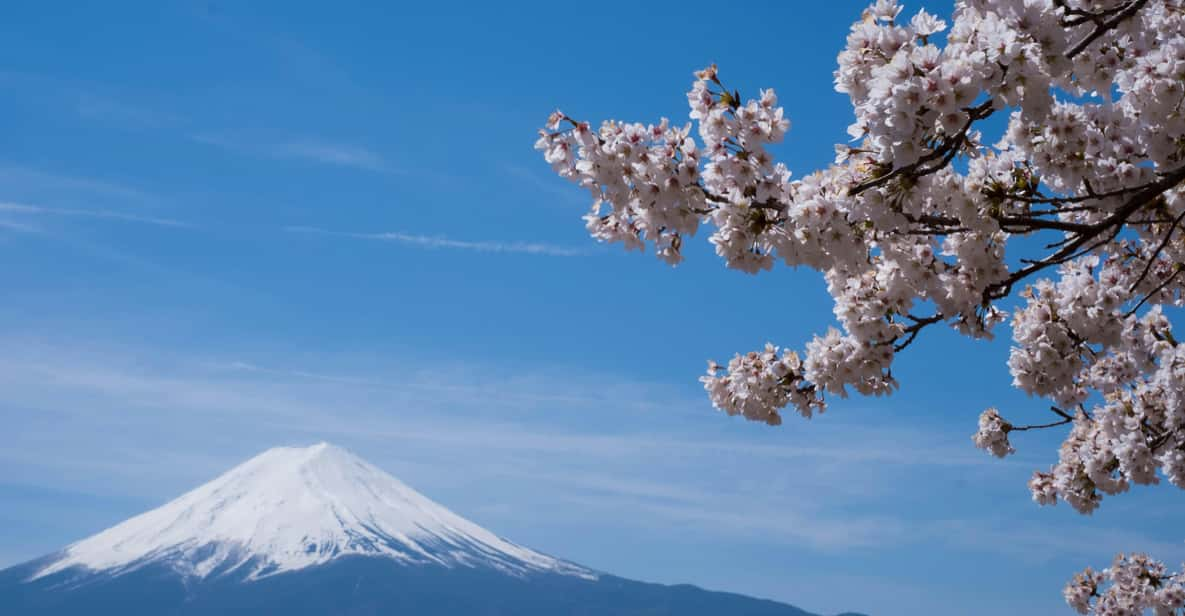 Tokyo: Mt. Fuji Day Trip for Couples With Pick&Drop Service - Frequently Asked Questions