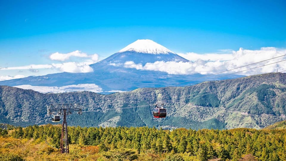 Tokyo: MT FUJI & HAKONE Private Sightseeing Tour - Kitaguchi-hongu Fuji Sengen Shrine