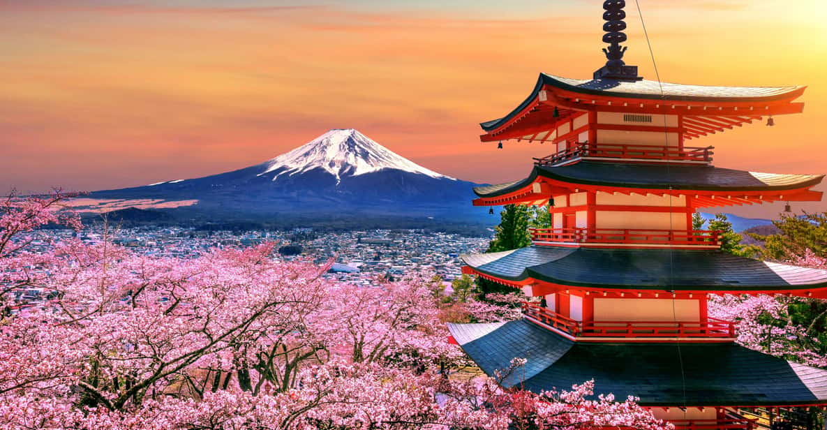 Tokyo: Mt. Fuji & Hakone Tour With English Speaking Driver. - Customer Reviews and Feedback