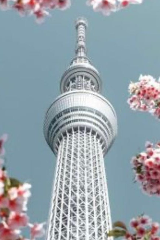 Tokyo: Private Tour by Car With English-Speaking Driver - Important Information