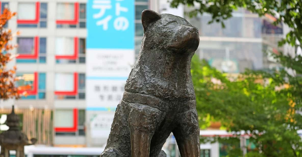 Tokyo: Shibuya Walking Tour With Crossing & Hachiko Statue - How to Book Your Tour