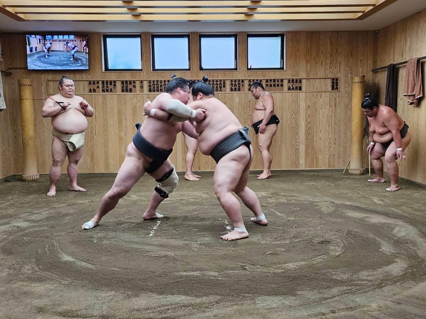 Tokyo Sumo Morning Practice Tour With Private Car Transfer - Private Car Transfer Benefits