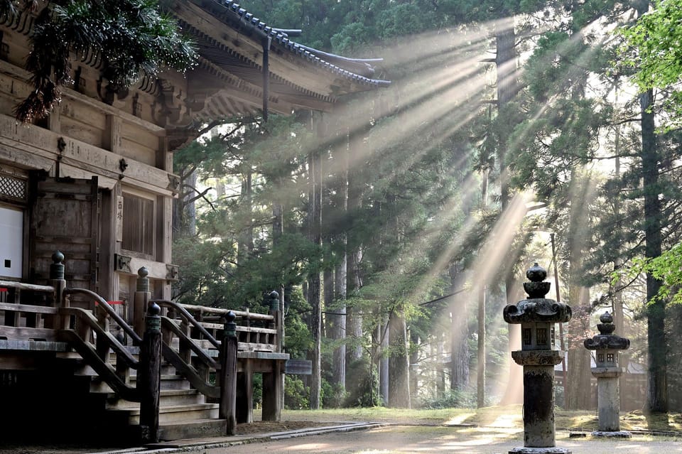 Tokyo:Hitachi Seaside Park/Oarai Isosaki Shrine Private Tour - Inclusions and Amenities Offered