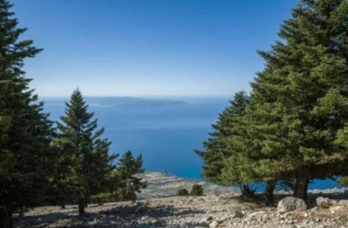 TRANSFERS, TOURS & RENTALS IN KEFALONIA - Flexible Rental Options