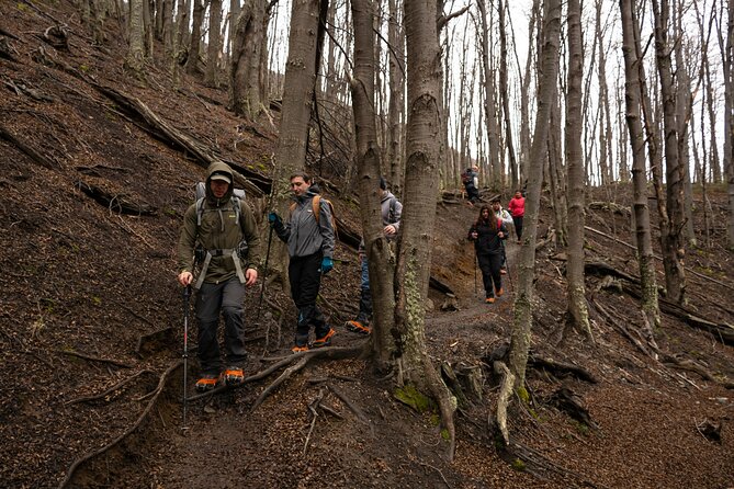 Trekking Base Las Torres Without Lunch - Park Information