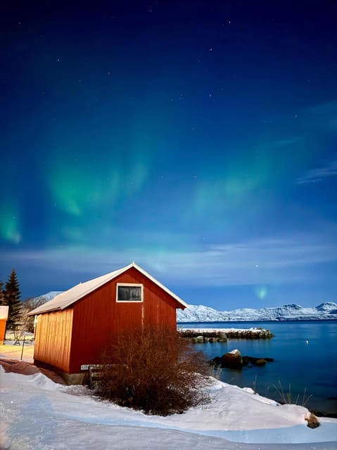 Tromso: Aurora Tour Hygge Magic Experience.(Wifi Free) - Safety Considerations