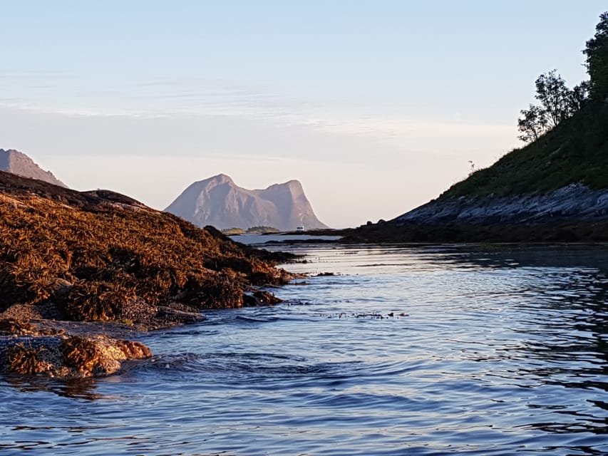 Tromso: Fjord Arctic Adventure Expedition - Wildlife Sightings