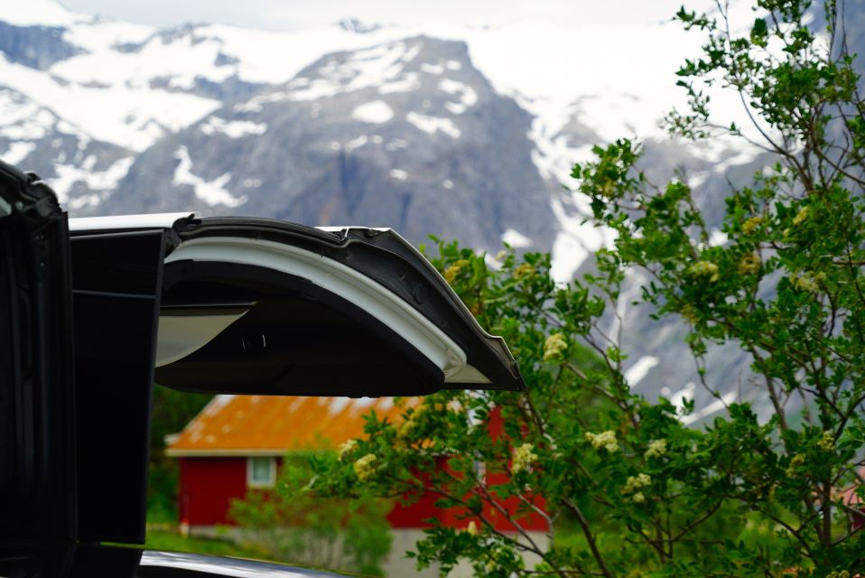 Tromsø: Fjord Sightseeing in a Tesla X Luxury Electric Car - Participant Age and Requirements