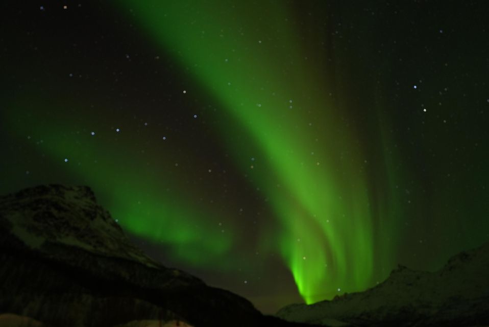 Tromsø: Guided Tours to See the Northern Lights: - What to Expect on the Tour