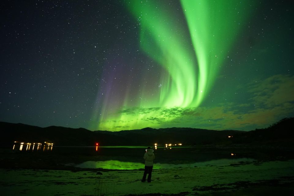 Tromsø: Northern Lights Tour With Free Professional Portrait - What to Bring